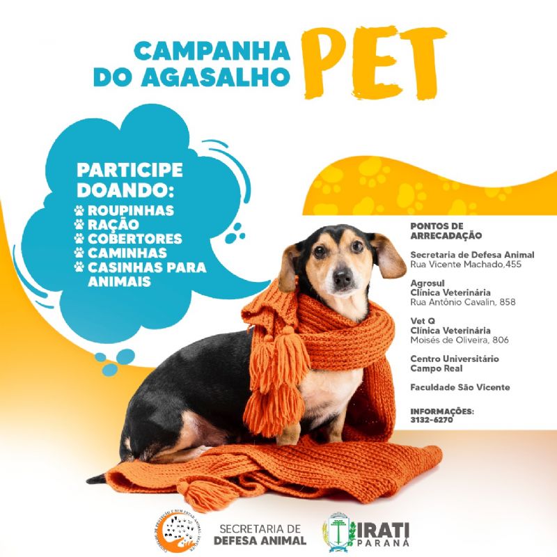 Campanha Do Agasalho Pet Hoje Centro Sul