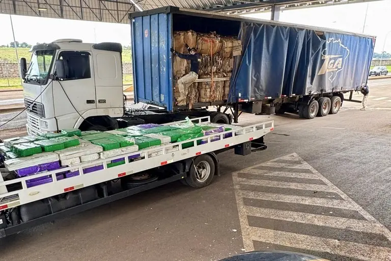 Rascunho automático