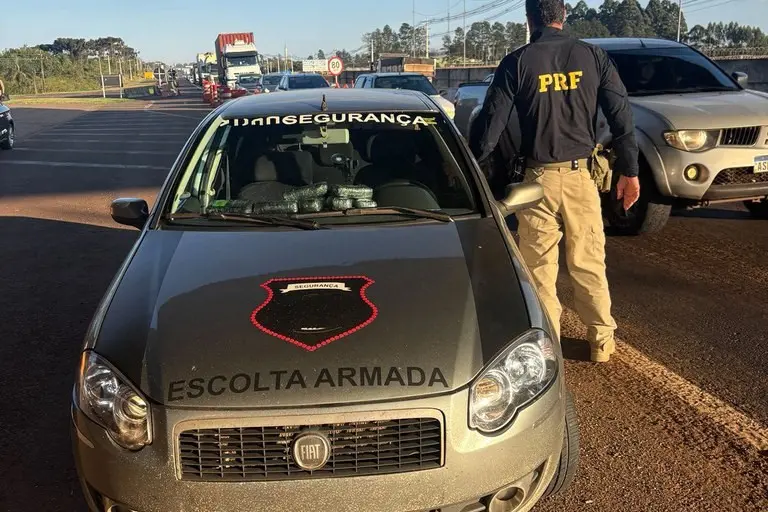 Rascunho automático