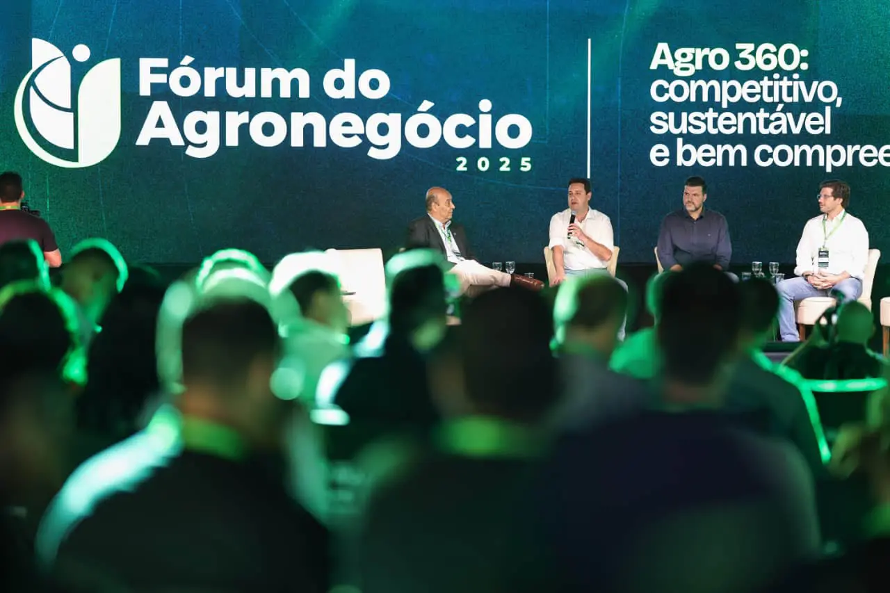 Rascunho automático