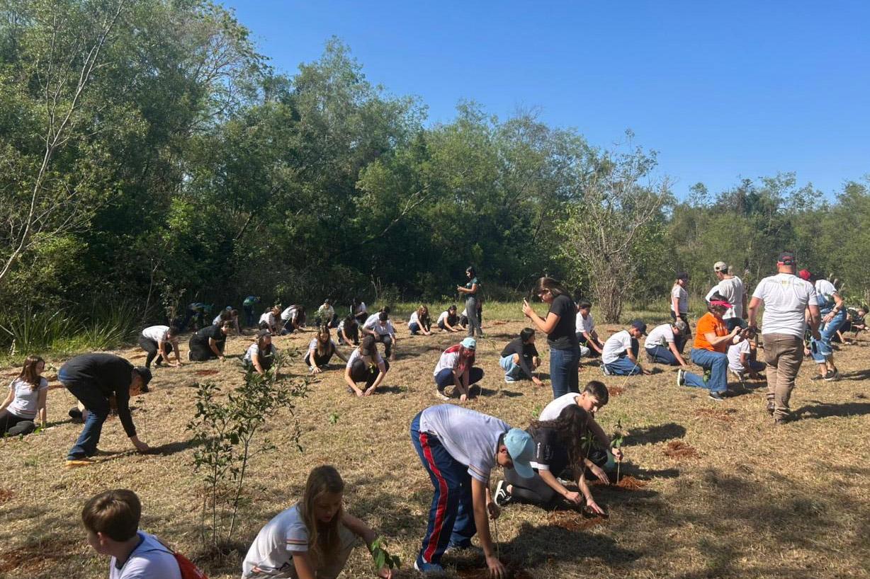 Brinquedo ou roupa por mudas nativas: IAT lança campanha para o Dia das Crianças