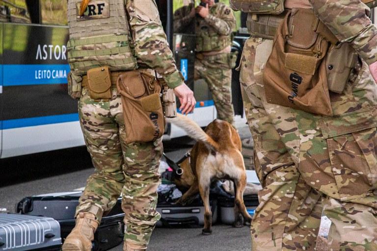 PRF realiza encontro nacional sobre o uso de cães policiais em Curitiba