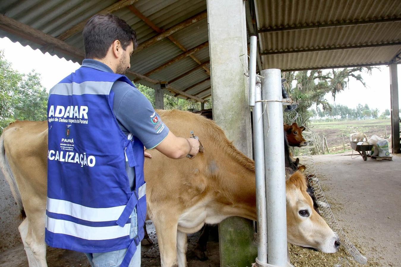 Adapar mantém vigilância e reforça importância da vacinação contra raiva no campo