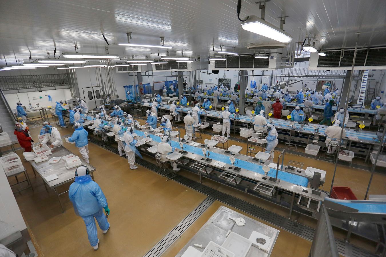 Agências do Trabalhador têm 26,4 mil vagas disponíveis em todas as regiões do Paraná