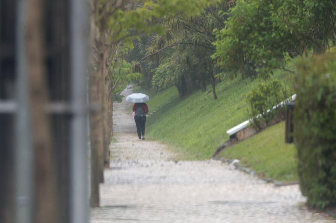 Frio fora de época: outubro registrou até 2°C abaixo da média histórica no Paraná