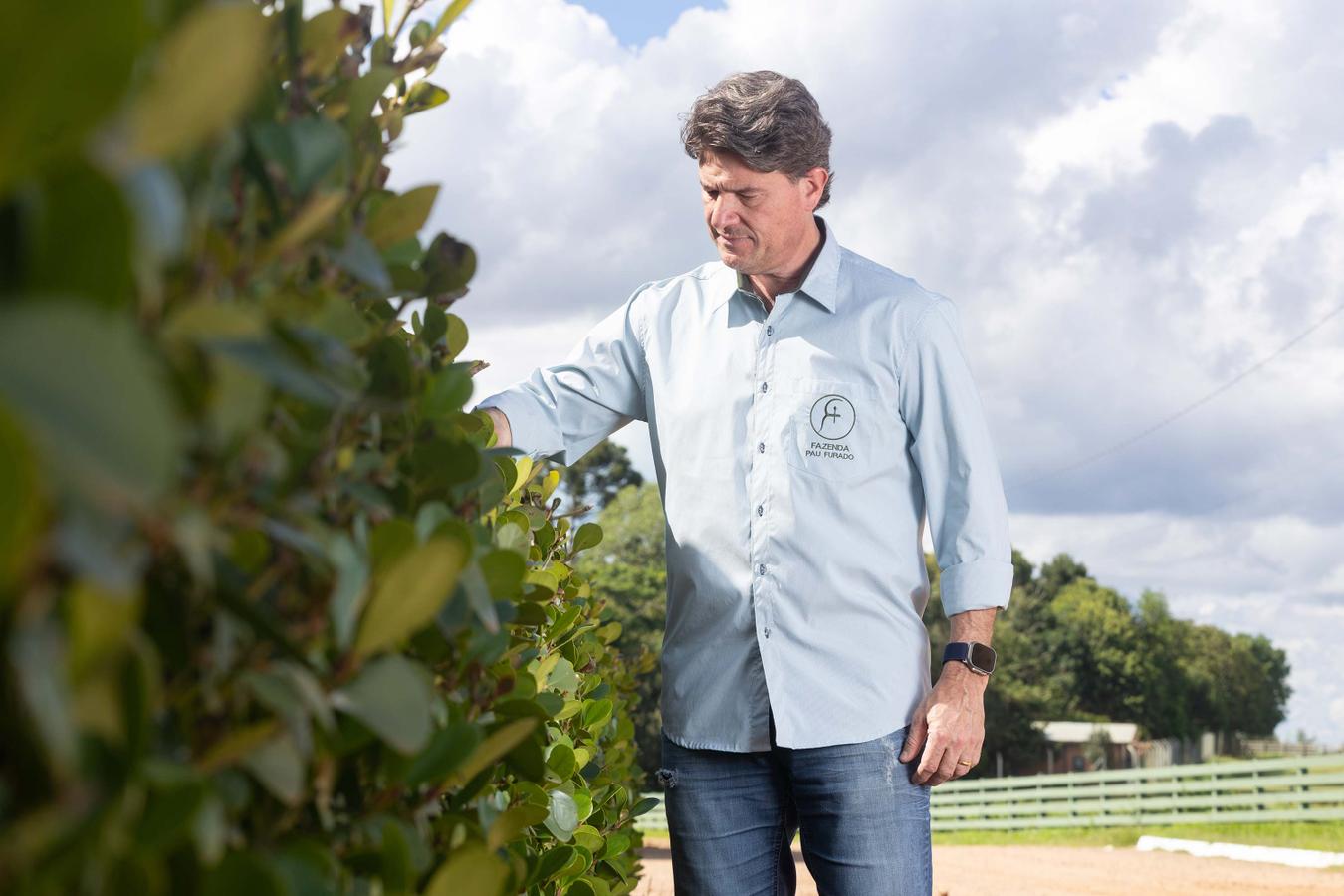 Paraná oferece programa pioneiro para validação de inventários de carbono