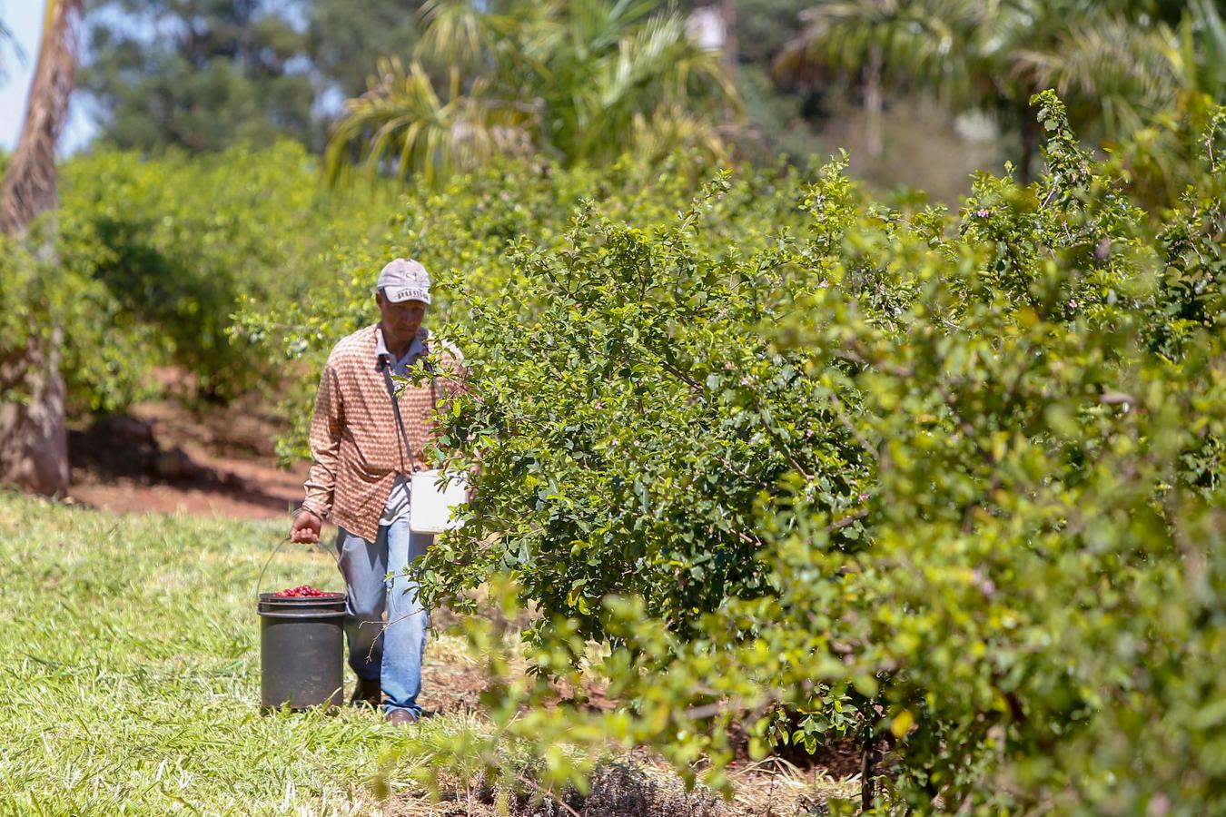 Paraná tem planos estratégicos para agricultura sustentável, segurança hídrica e descarbonização