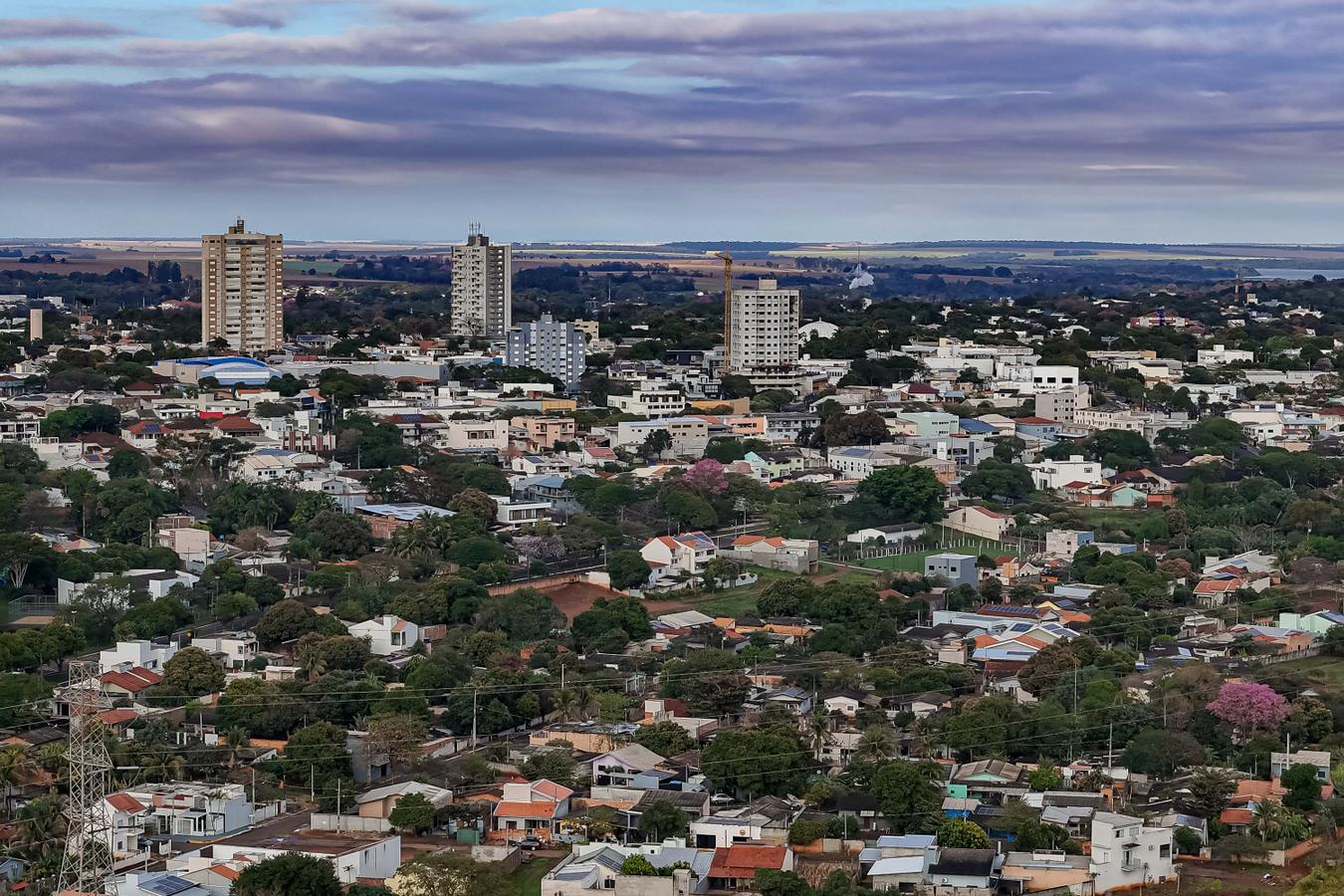 Rascunho automático