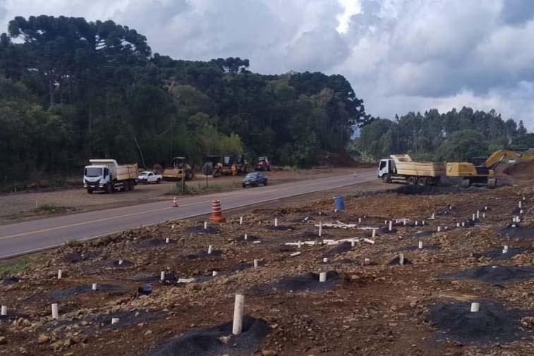 Rascunho automático