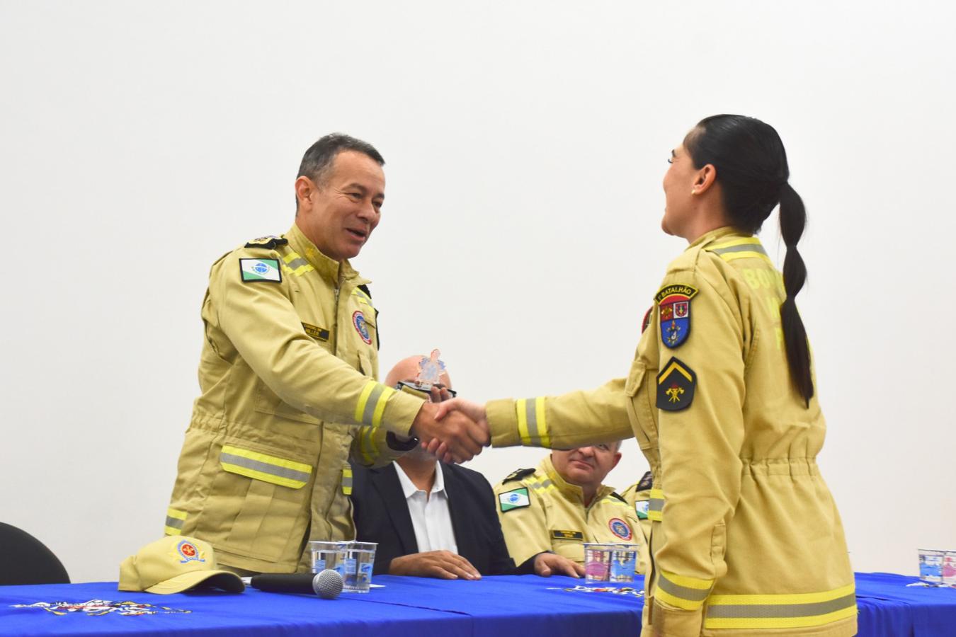 Rascunho automático