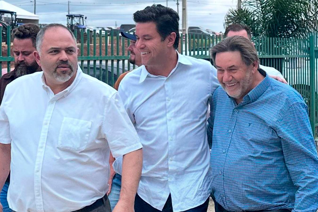 Rascunho automático