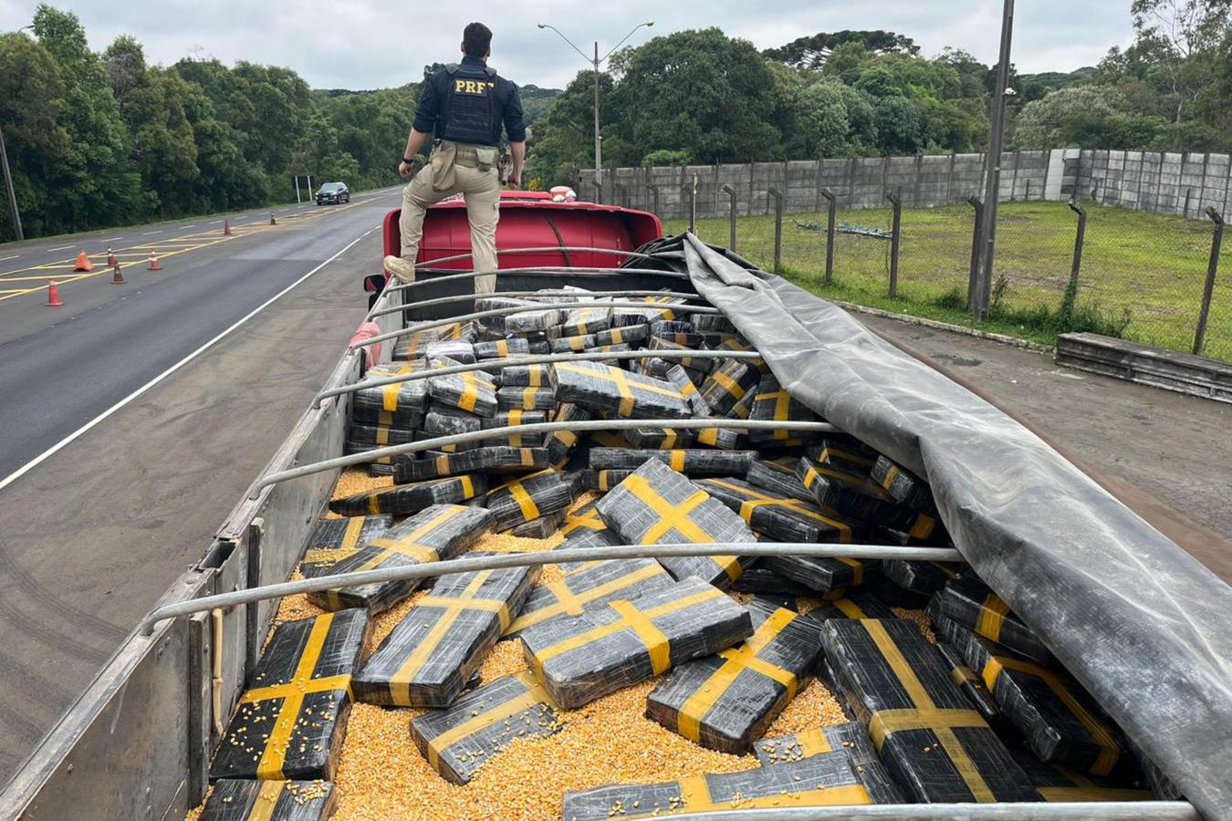 Rascunho automático