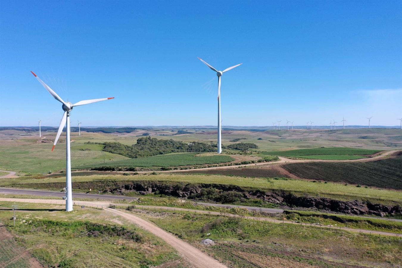 Rascunho automático