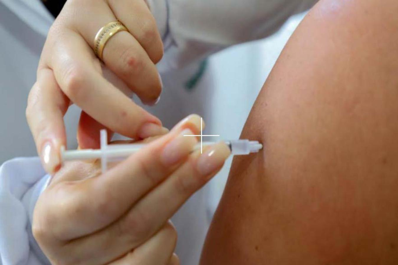 Perto do verão: Saúde reforça necessidade da vacinação e cuidados contra a febre amarela