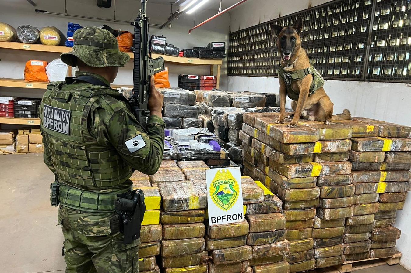 PMPR apreende 1,5 tonelada de maconha escondida em área de mata em Santa Helena
