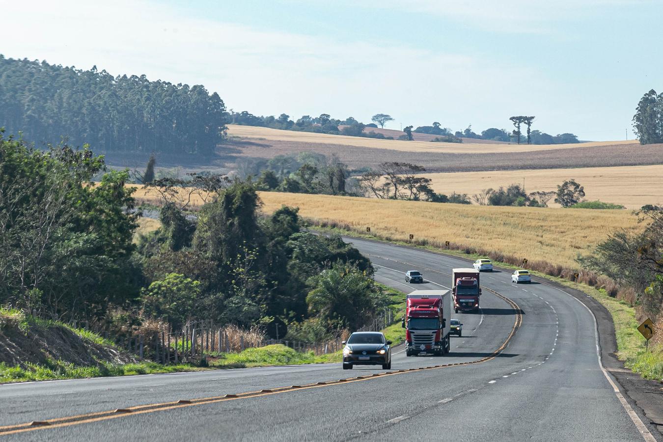 Rascunho automático