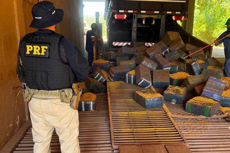 Rascunho automático