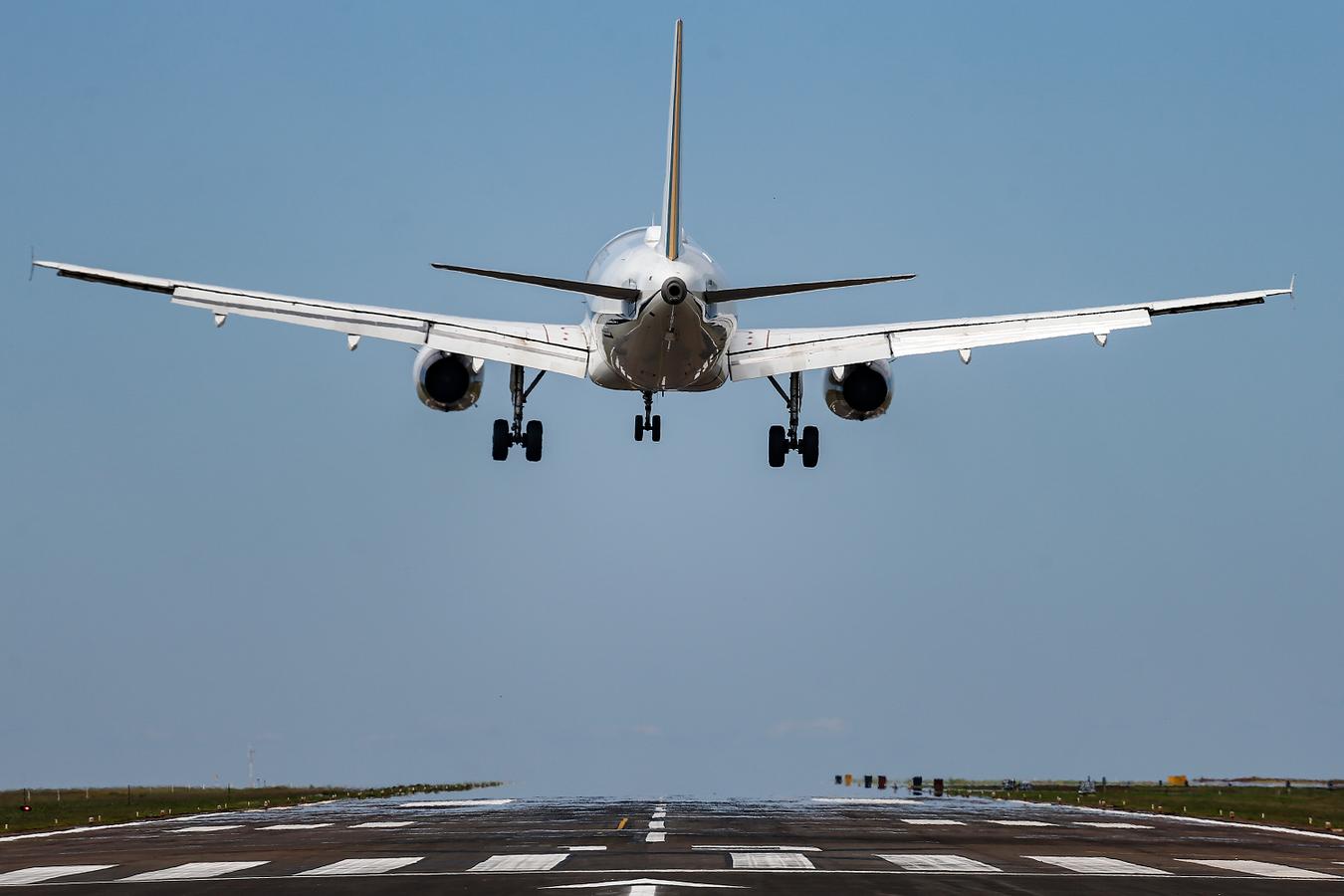 Rascunho automático