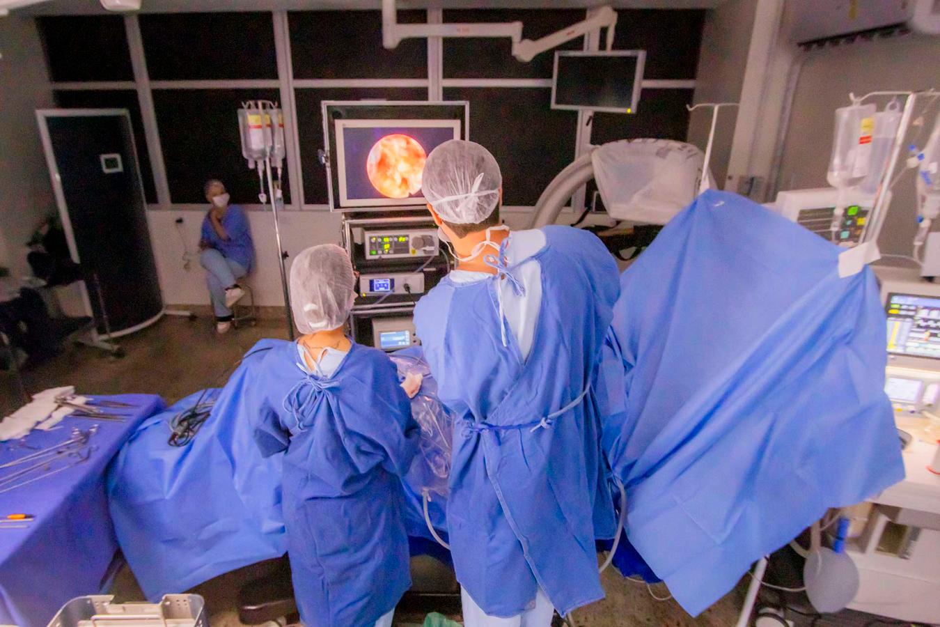 Rascunho automático