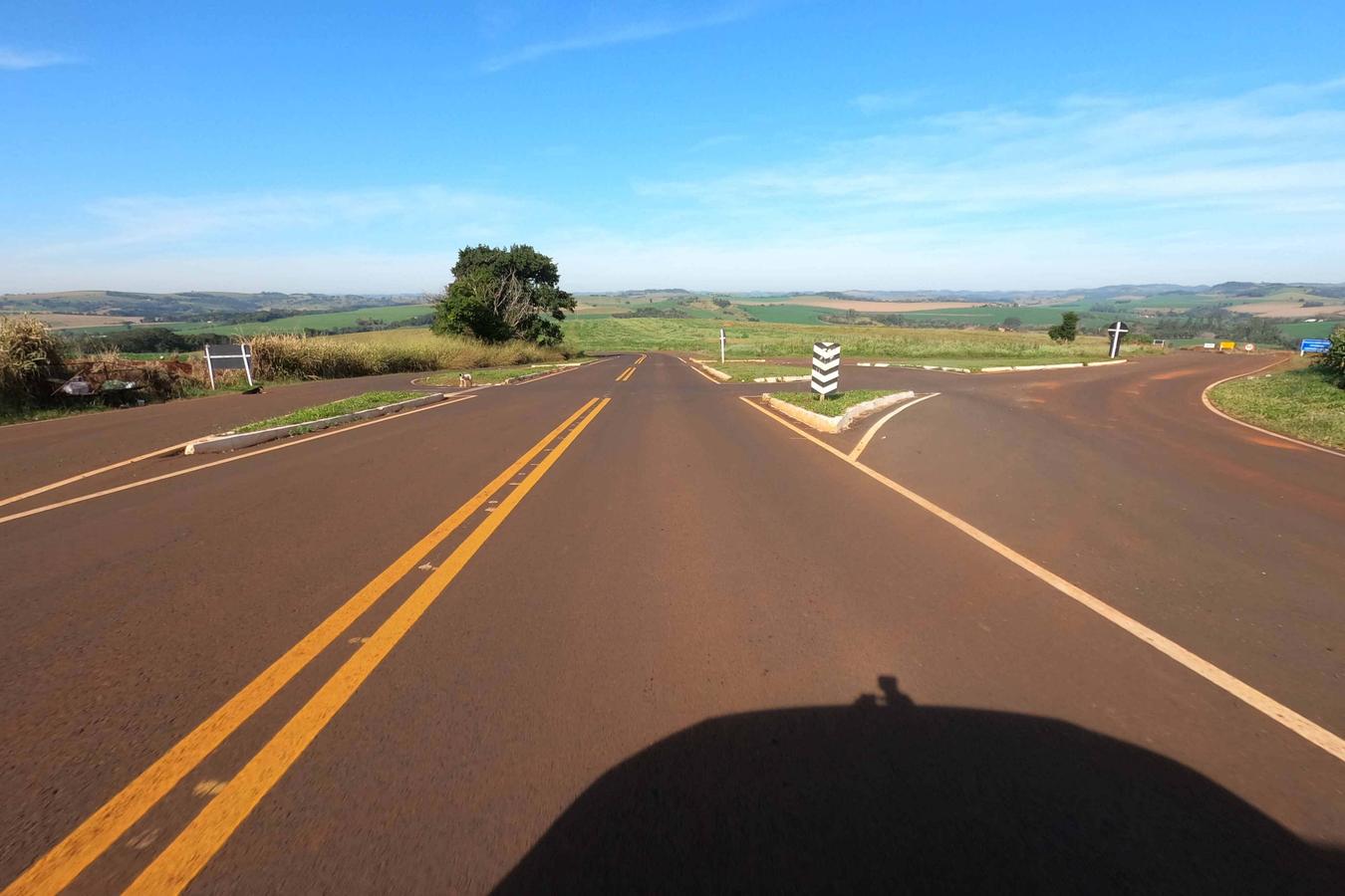 Rascunho automático