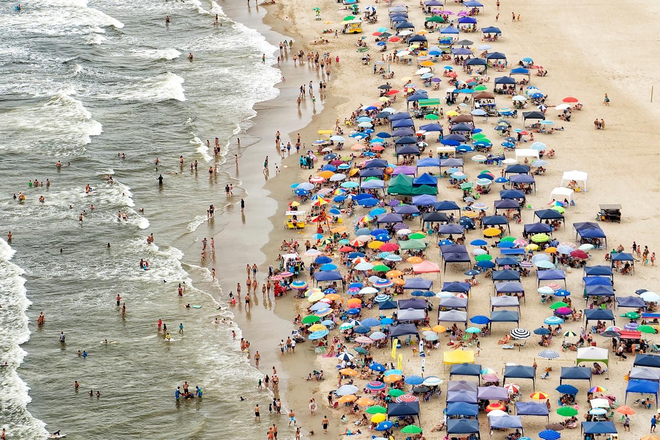 Rascunho automático