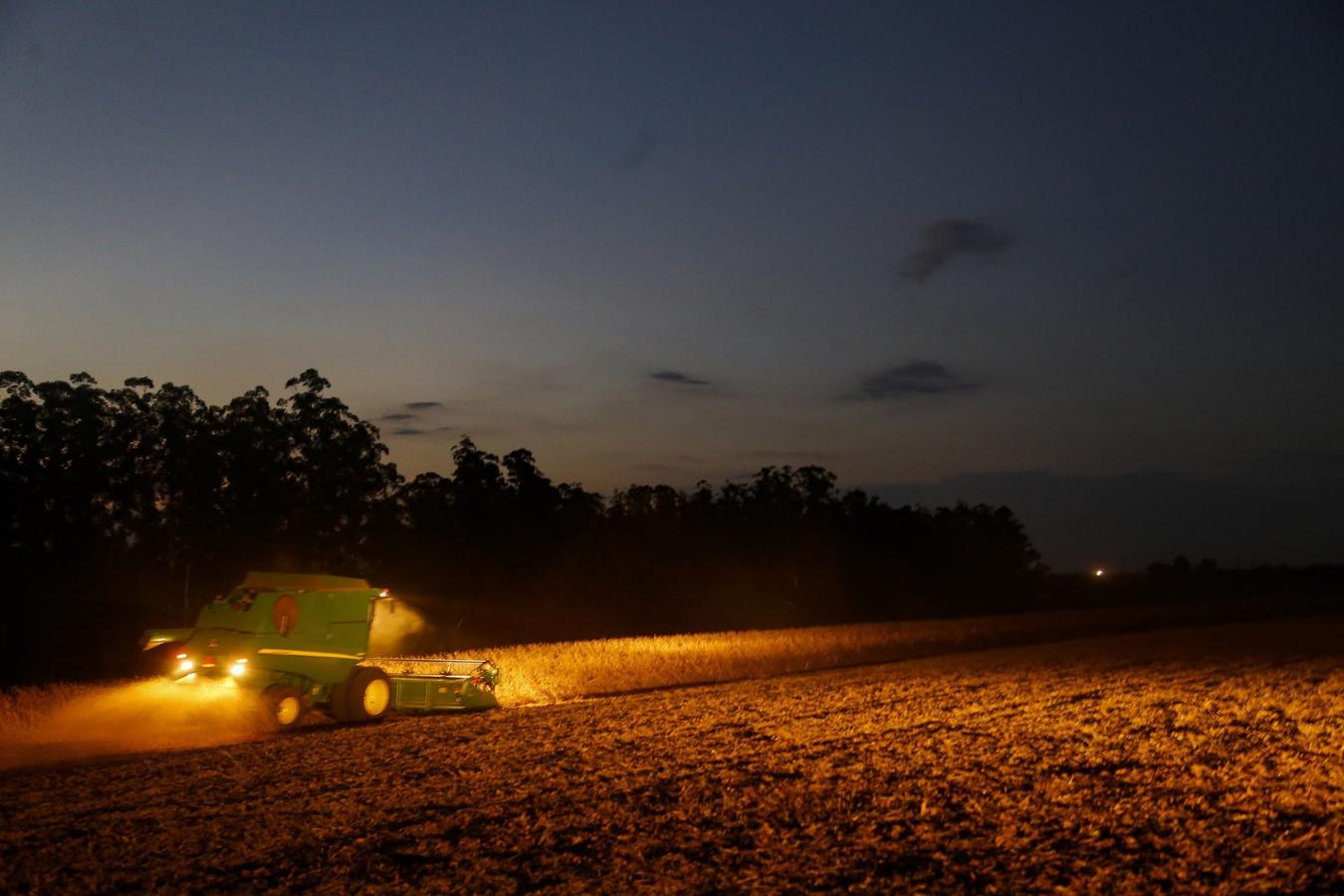 Portaria do Paraná amplia período de plantio da soja para produção de sementes