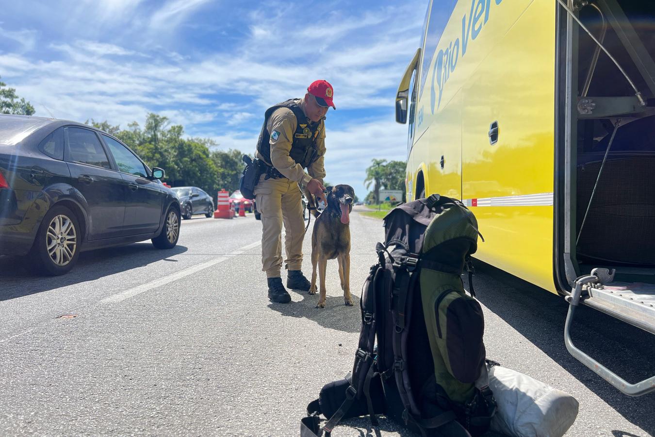 Rascunho automático