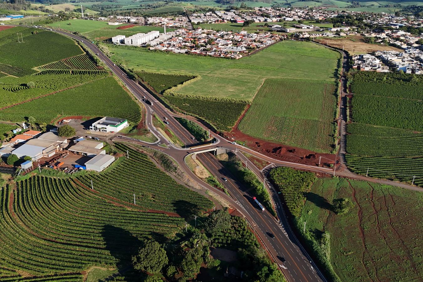 Rascunho automático