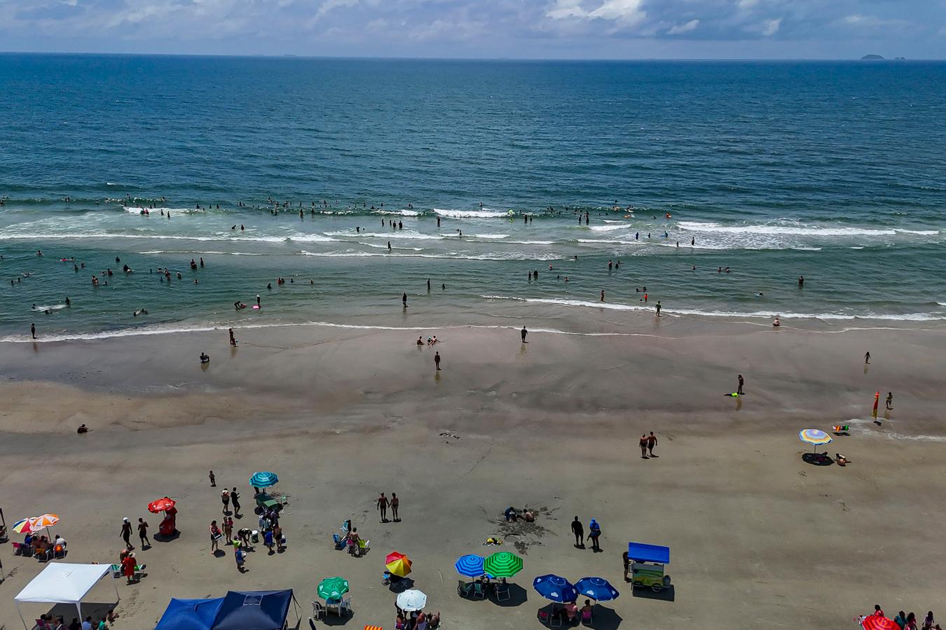 Rascunho automático