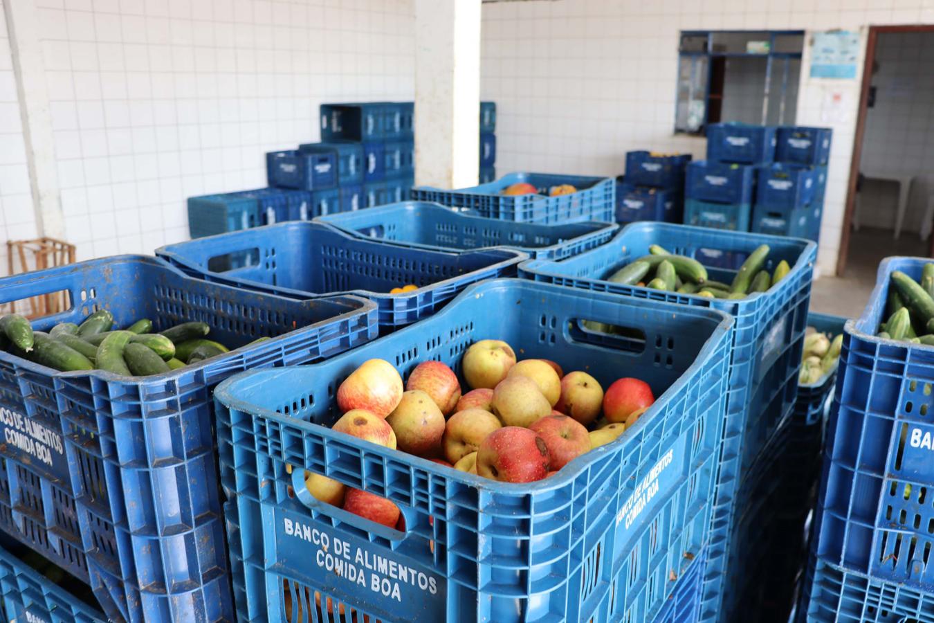 Rascunho automático