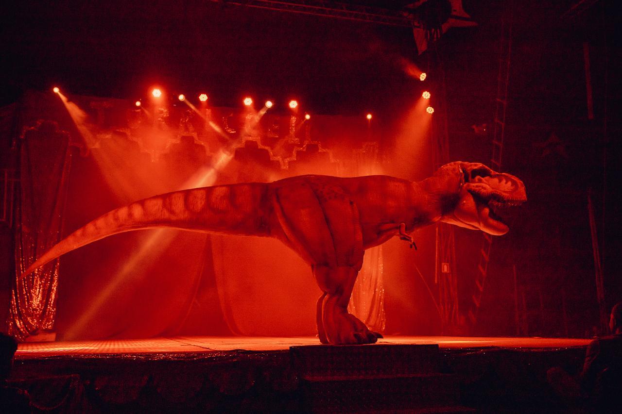 Irati recebe, pela primeira vez, o espetáculo do Circo Torricceli no Parque Aquático