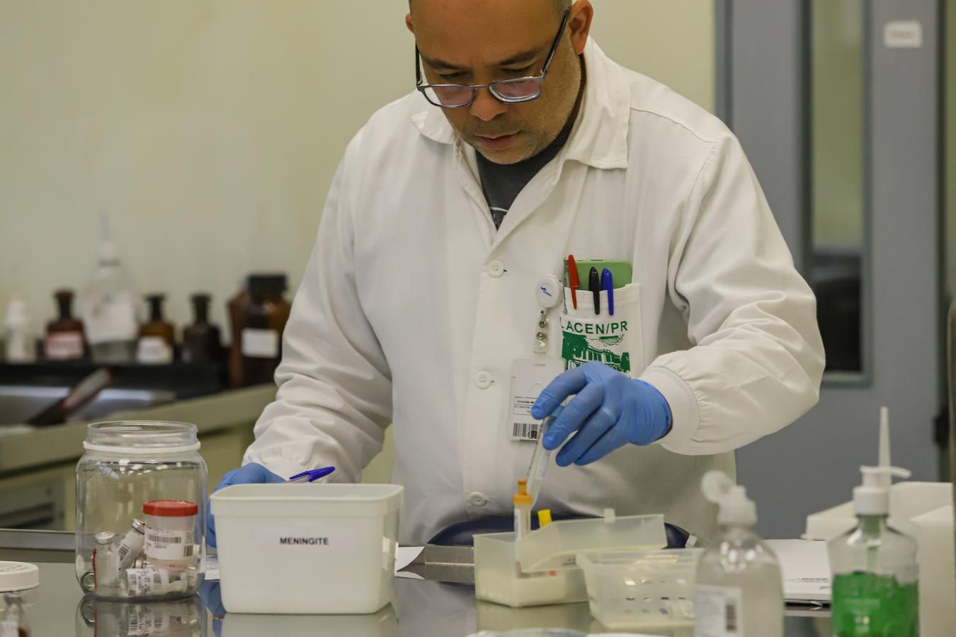 Rascunho automático