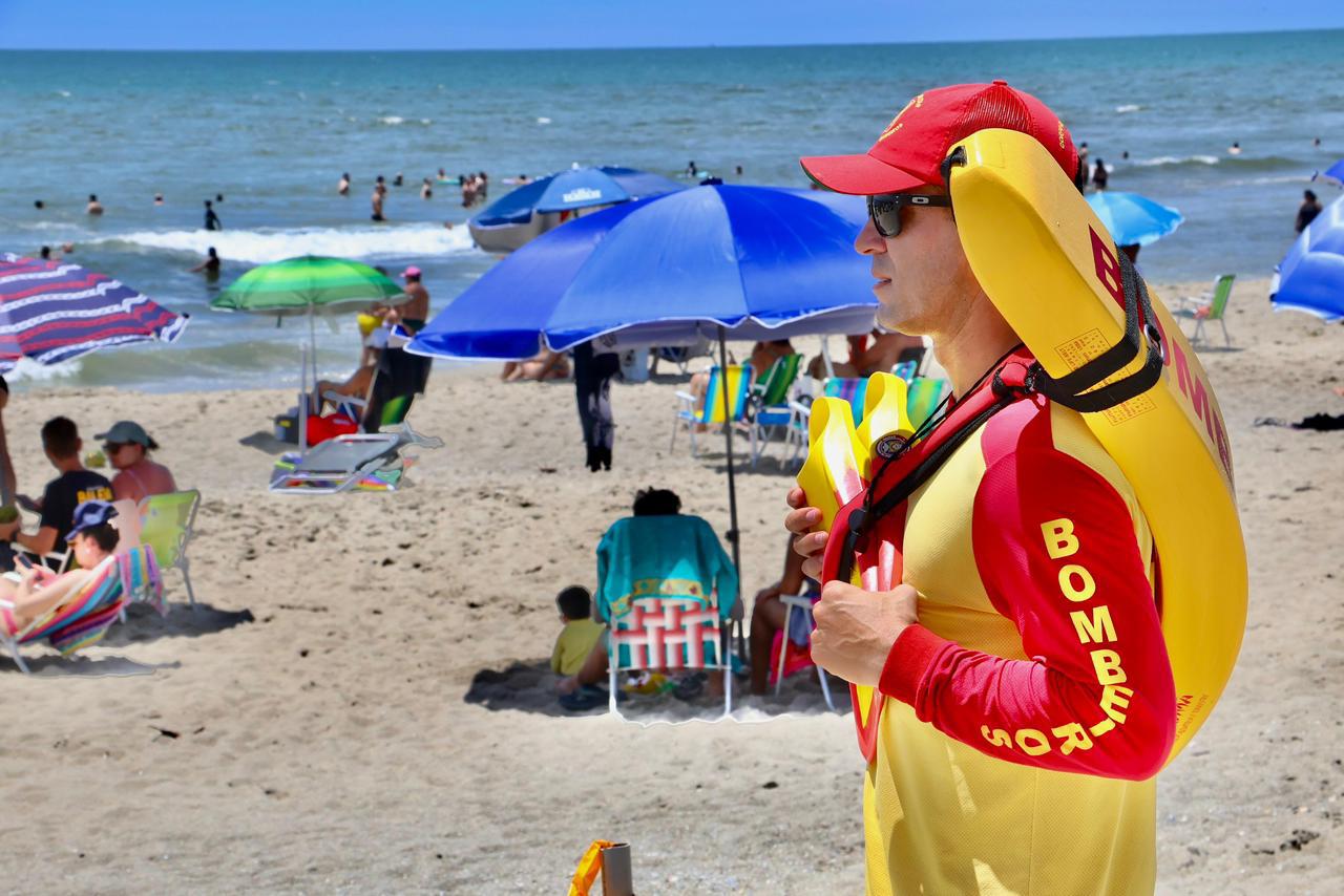 Rascunho automático