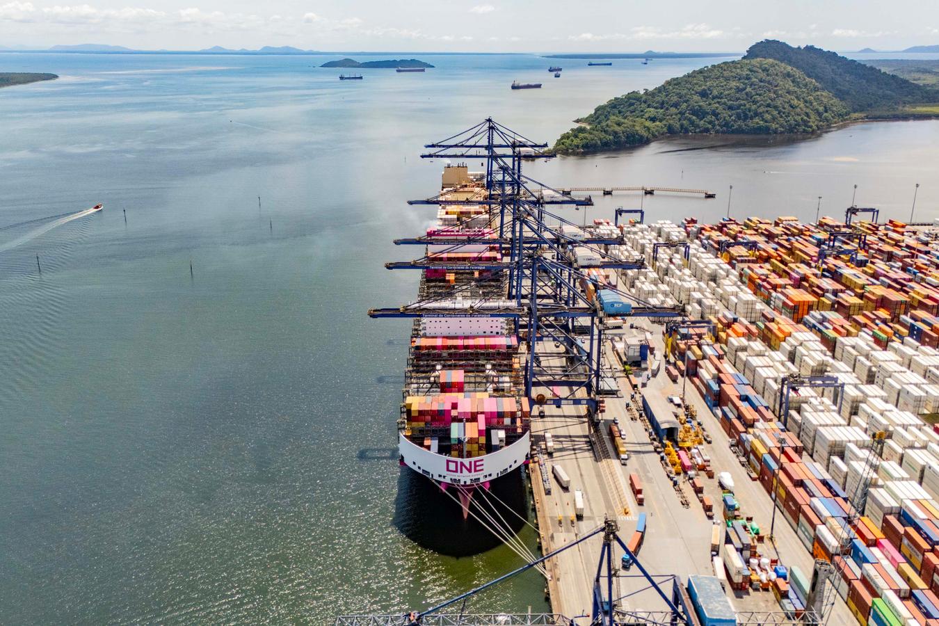 Rascunho automático