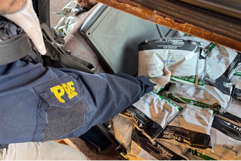 Rascunho automático