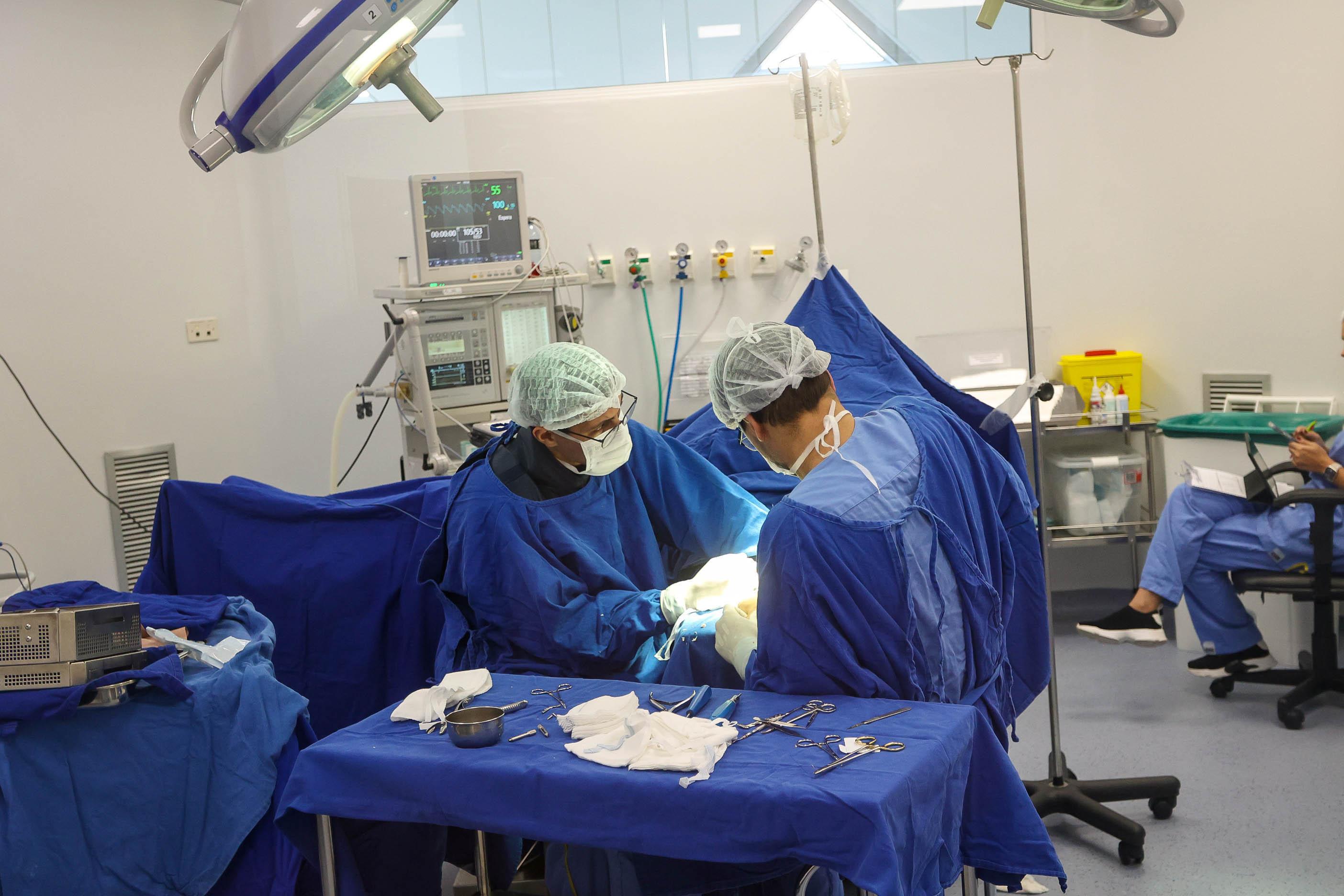 Rascunho automático