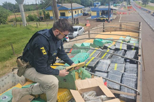 PRF apreende, no Paraná, a maior quantidade de maconha do ano em rodovias federais
