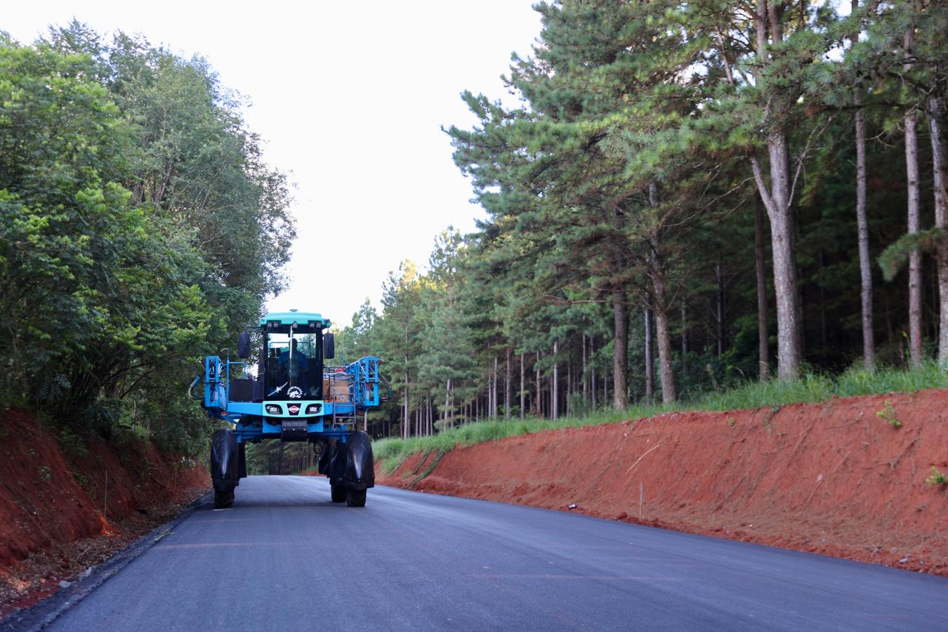 Rascunho automático