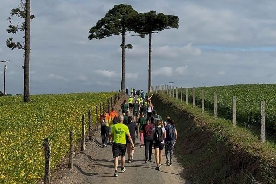 Rascunho automático
