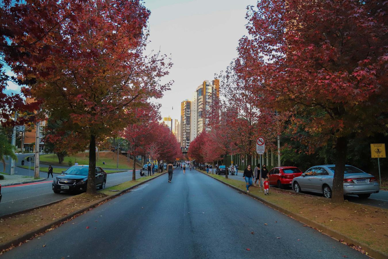 Rascunho automático