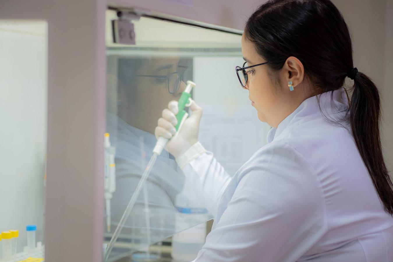 Rascunho automático