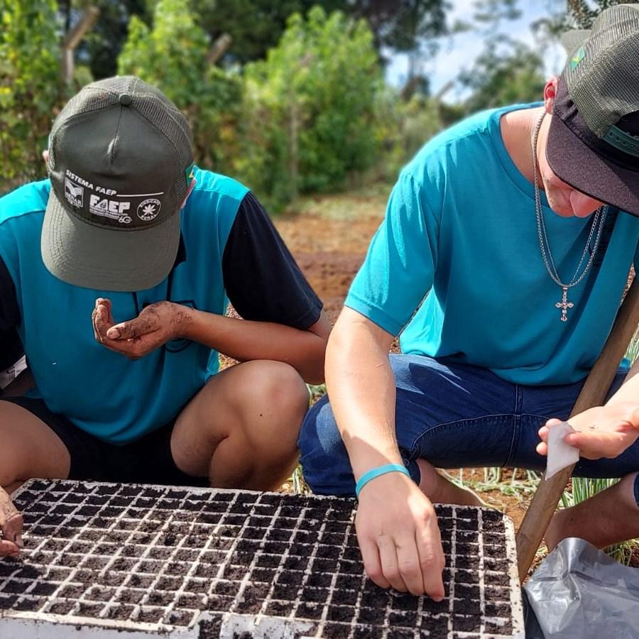 Escola do Campo localizada em Fernandes Pinheiro recebeu o projeto Hortas Comunitárias