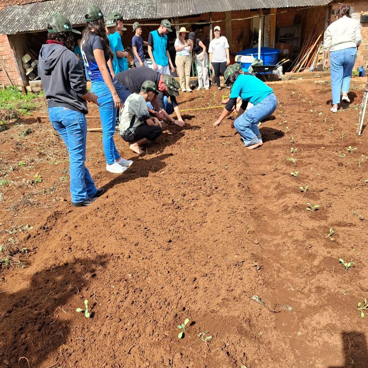 Escola do Campo localizada em Fernandes Pinheiro recebeu o projeto Hortas Comunitárias