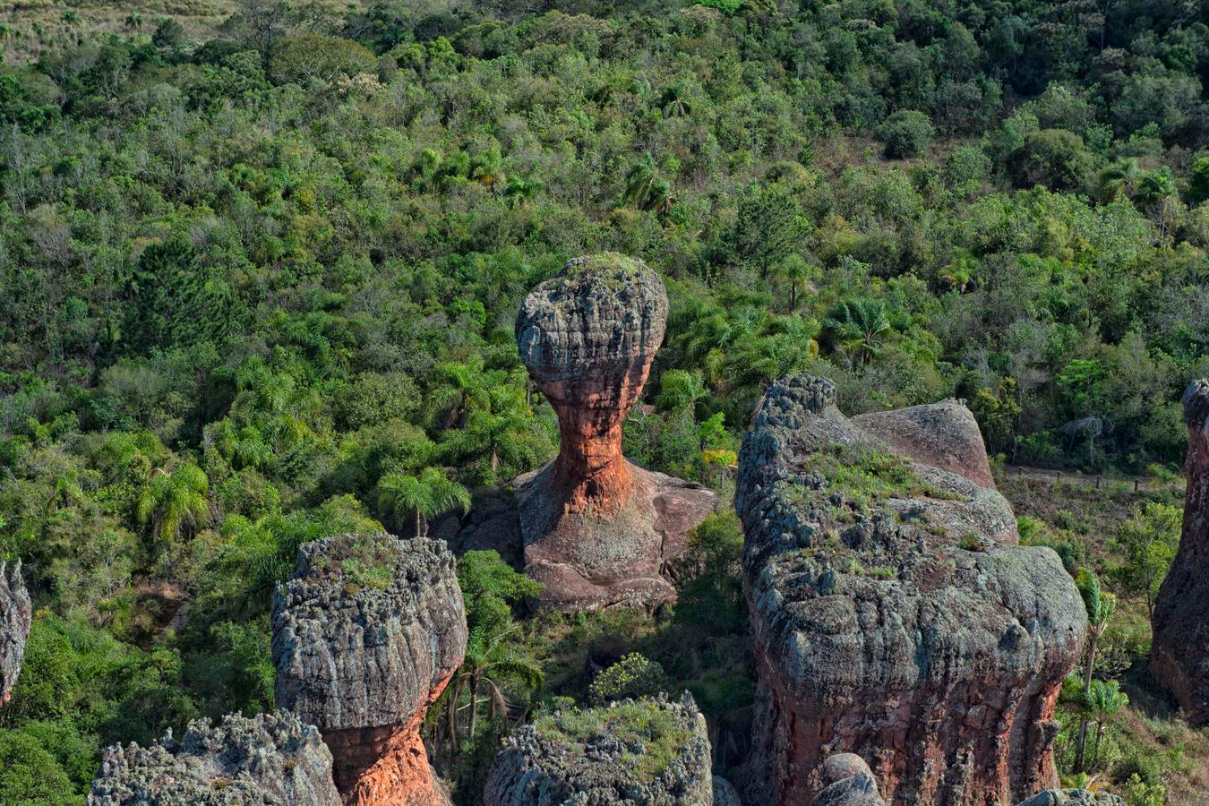 Feriado terá tempo estável, mas chuva e frio voltam ao Paraná no fim de semana