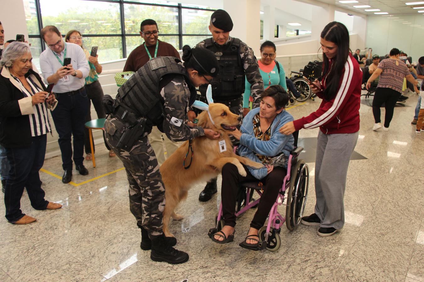 Hospital de Reabilitação inicia projeto de terapia de pacientes com cães da PMPR