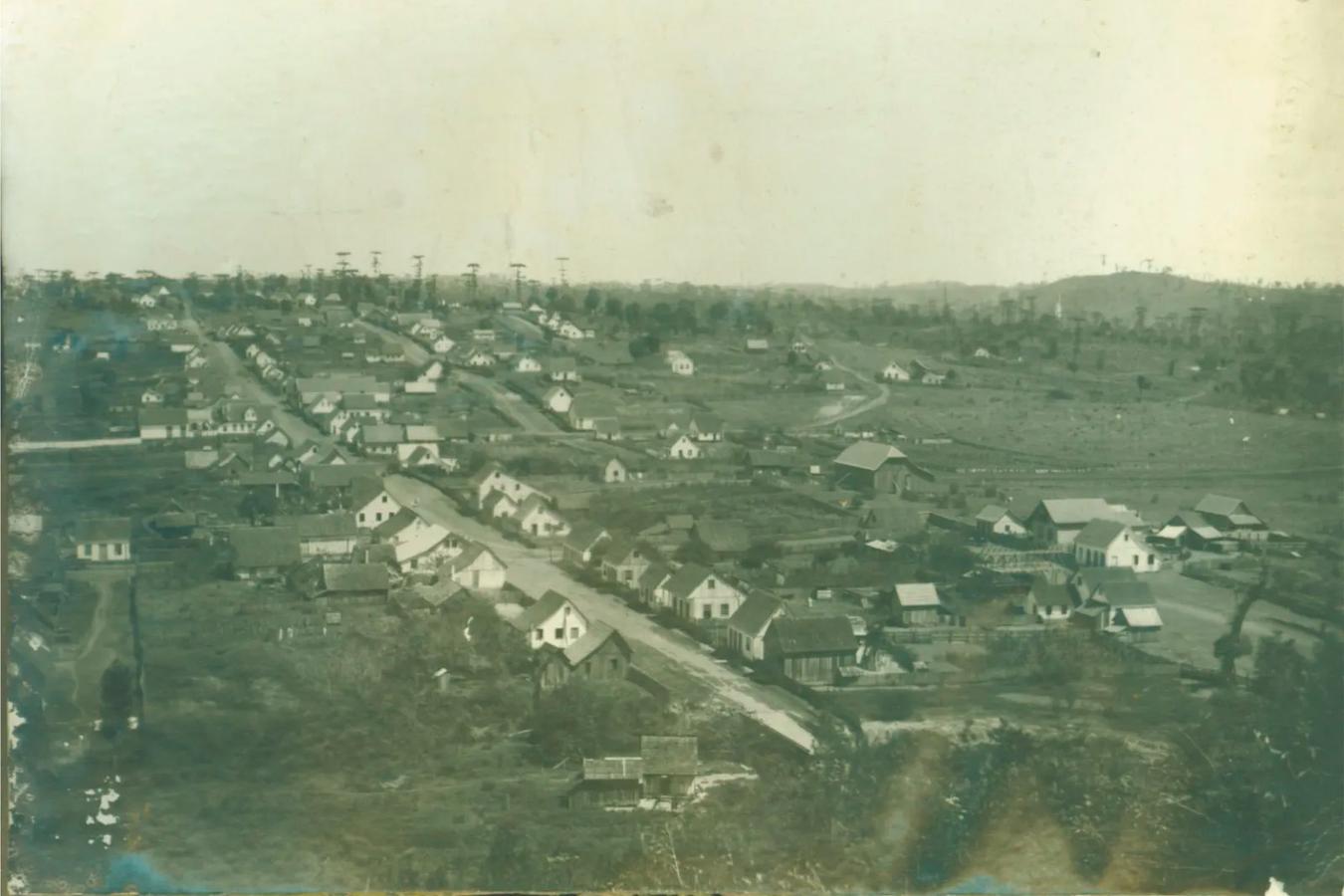 Rascunho automático