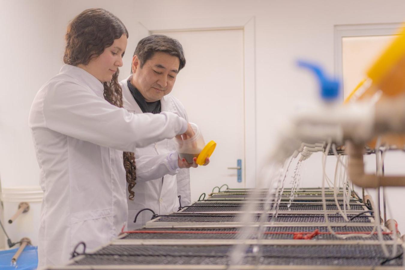 Rascunho automático