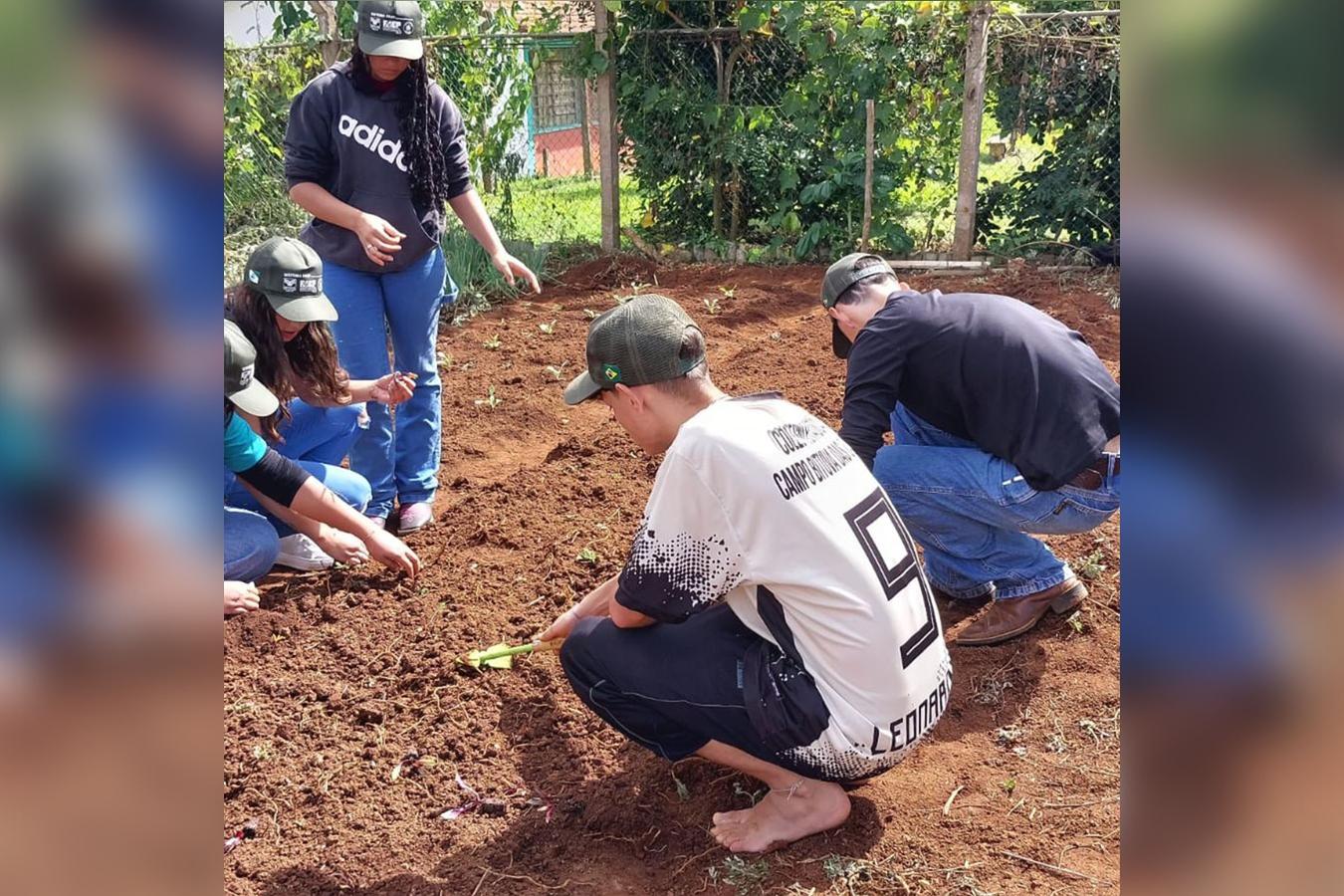 Rascunho automático