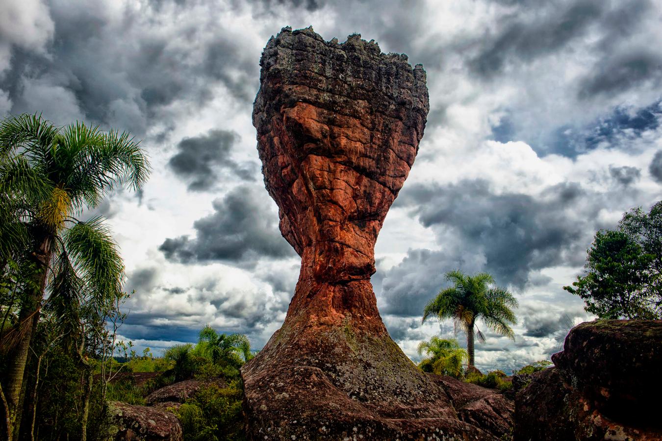 Rascunho automático