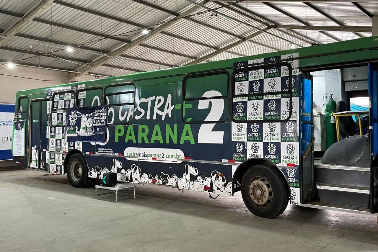 Castra Mais Paraná II realiza cerca de 600 castrações gratuitas em Irati